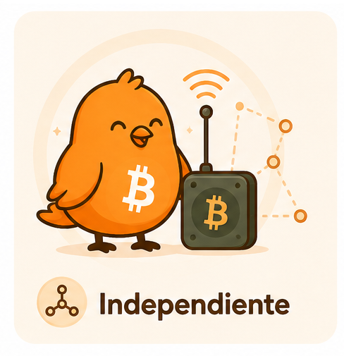 Pajarito verificando información mediante su propio nodo